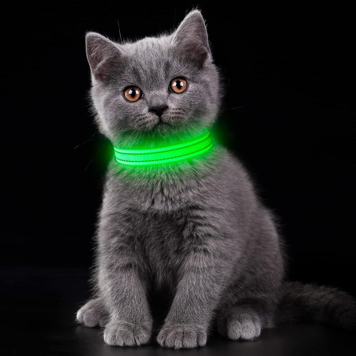 Light up Dog Collars, USB Rechargeable LED Dog Collar, Adjustable LED Cat Collar, Durable Flashing Collar for Cats, Puppy, Small, Medium, Large Dogs (Green, XS)