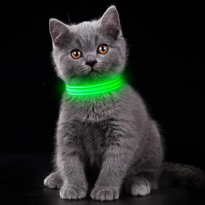 Light up Dog Collars, USB Rechargeable LED Dog Collar, Adjustable LED Cat Collar, Durable Flashing Collar for Cats, Puppy, Small, Medium, Large Dogs (Green, XS)