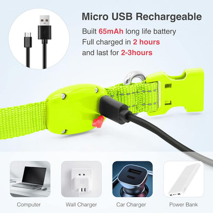 Light up Dog Collars, USB Rechargeable LED Dog Collar, Adjustable LED Cat Collar, Durable Flashing Collar for Cats, Puppy, Small, Medium, Large Dogs (Green, XS)