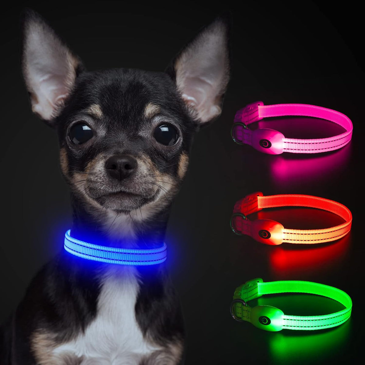 Light up Dog Collars, USB Rechargeable LED Dog Collar, Adjustable LED Cat Collar, Durable Flashing Collar for Cats, Puppy, Small, Medium, Large Dogs (Green, XS)