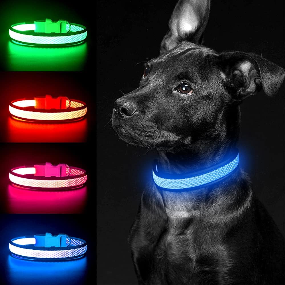 Light up Dog Collars, USB Rechargeable LED Dog Collar, Adjustable LED Cat Collar, Durable Flashing Collar for Cats, Puppy, Small, Medium, Large Dogs (Green, XS)