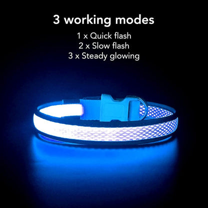 Light up Dog Collars, USB Rechargeable LED Dog Collar, Adjustable LED Cat Collar, Durable Flashing Collar for Cats, Puppy, Small, Medium, Large Dogs (Green, XS)