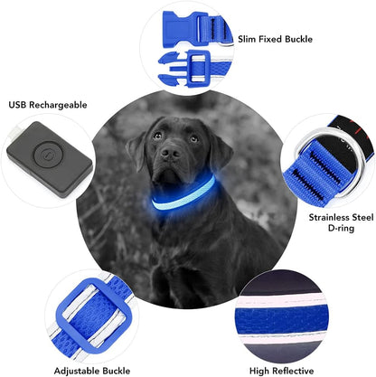 Light up Dog Collars, USB Rechargeable LED Dog Collar, Adjustable LED Cat Collar, Durable Flashing Collar for Cats, Puppy, Small, Medium, Large Dogs (Green, XS)