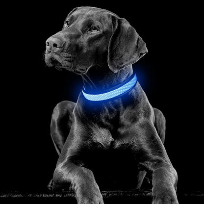 Light up Dog Collars, USB Rechargeable LED Dog Collar, Adjustable LED Cat Collar, Durable Flashing Collar for Cats, Puppy, Small, Medium, Large Dogs (Green, XS)