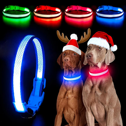 Light up Dog Collars, USB Rechargeable LED Dog Collar, Adjustable LED Cat Collar, Durable Flashing Collar for Cats, Puppy, Small, Medium, Large Dogs (Green, XS)