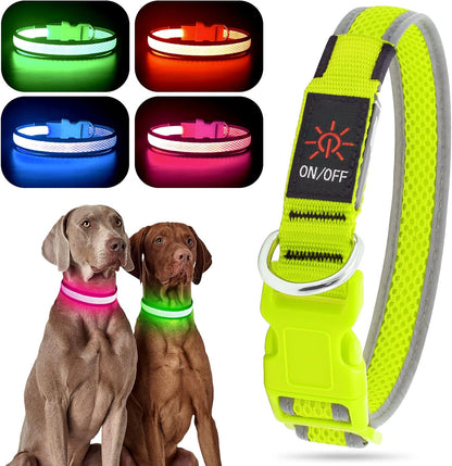 Light up Dog Collars, USB Rechargeable LED Dog Collar, Adjustable LED Cat Collar, Durable Flashing Collar for Cats, Puppy, Small, Medium, Large Dogs (Green, XS)