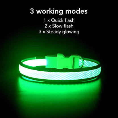 Light up Dog Collars, USB Rechargeable LED Dog Collar, Adjustable LED Cat Collar, Durable Flashing Collar for Cats, Puppy, Small, Medium, Large Dogs (Green, XS)