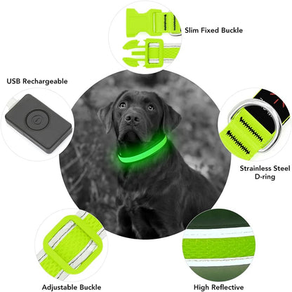 Light up Dog Collars, USB Rechargeable LED Dog Collar, Adjustable LED Cat Collar, Durable Flashing Collar for Cats, Puppy, Small, Medium, Large Dogs (Green, XS)