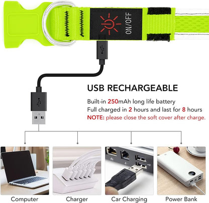Light up Dog Collars, USB Rechargeable LED Dog Collar, Adjustable LED Cat Collar, Durable Flashing Collar for Cats, Puppy, Small, Medium, Large Dogs (Green, XS)
