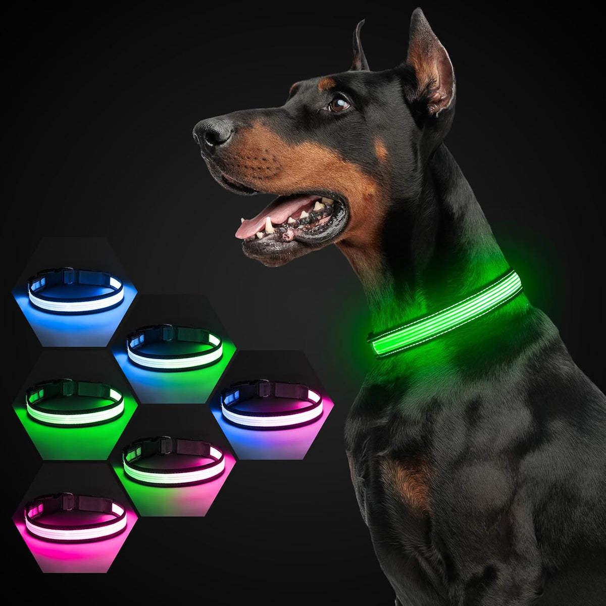 Light up Dog Collars, USB Rechargeable LED Dog Collar, Adjustable LED Cat Collar, Durable Flashing Collar for Cats, Puppy, Small, Medium, Large Dogs (Green, XS)