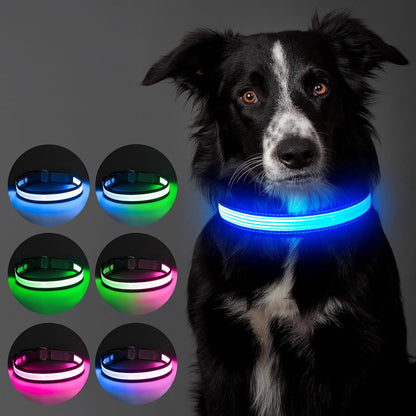 Light up Dog Collars, USB Rechargeable LED Dog Collar, Adjustable LED Cat Collar, Durable Flashing Collar for Cats, Puppy, Small, Medium, Large Dogs (Green, XS)
