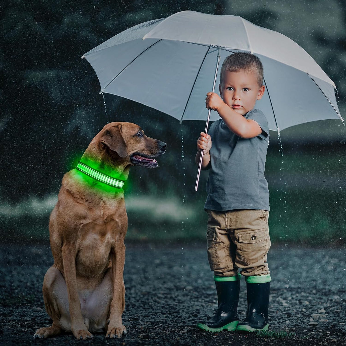 Light up Dog Collars, USB Rechargeable LED Dog Collar, Adjustable LED Cat Collar, Durable Flashing Collar for Cats, Puppy, Small, Medium, Large Dogs (Green, XS)