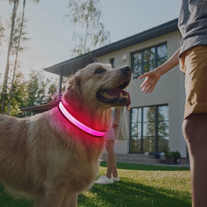 Light up Dog Collars, USB Rechargeable LED Dog Collar, Adjustable LED Cat Collar, Durable Flashing Collar for Cats, Puppy, Small, Medium, Large Dogs (Green, XS)