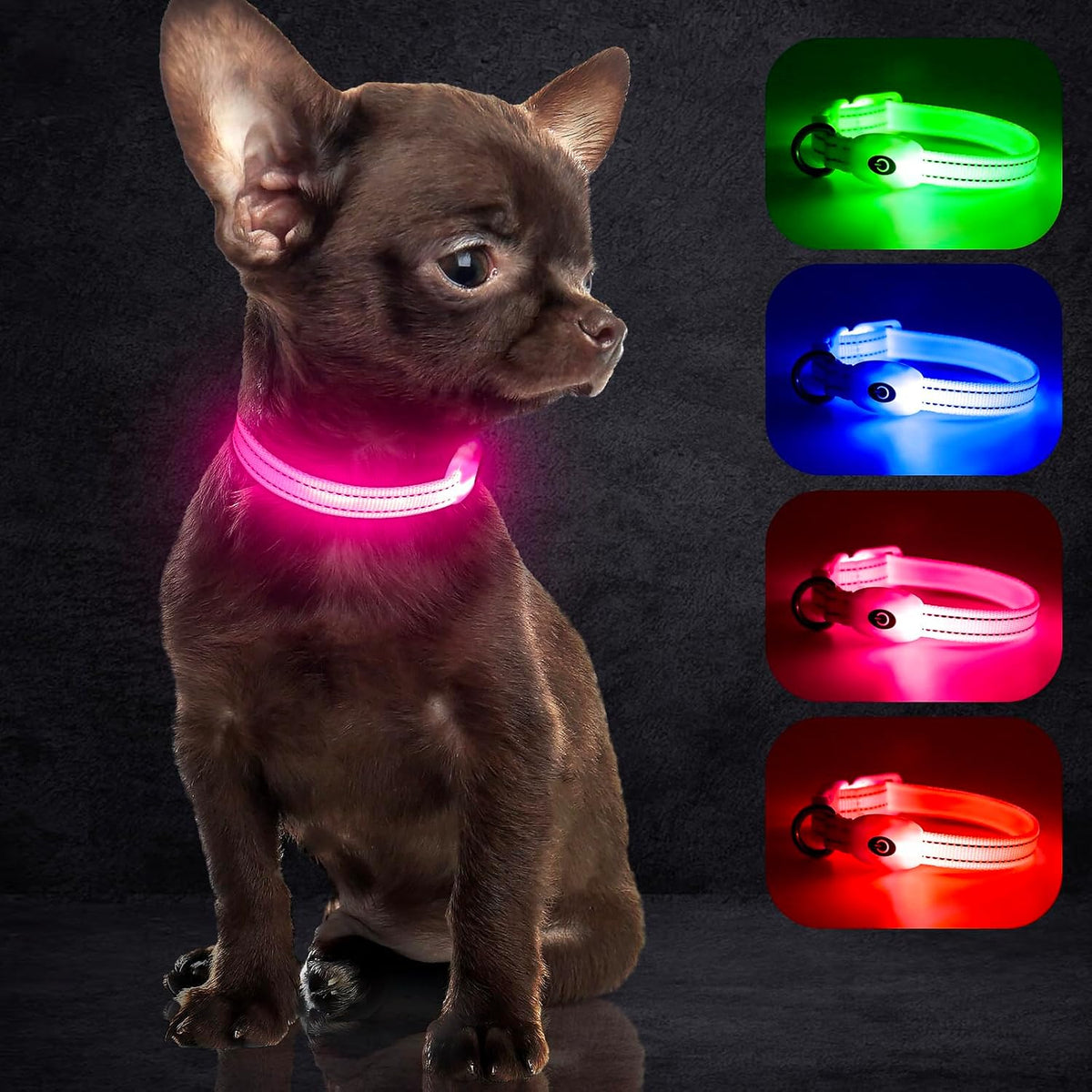 Light up Dog Collars, USB Rechargeable LED Dog Collar, Adjustable LED Cat Collar, Durable Flashing Collar for Cats, Puppy, Small, Medium, Large Dogs (Green, XS)