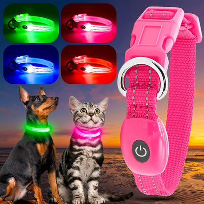 Light up Dog Collars, USB Rechargeable LED Dog Collar, Adjustable LED Cat Collar, Durable Flashing Collar for Cats, Puppy, Small, Medium, Large Dogs (Green, XS)