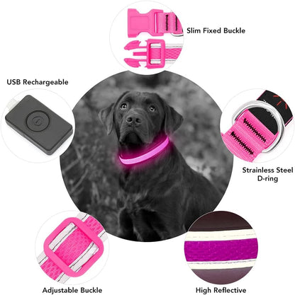 Light up Dog Collars, USB Rechargeable LED Dog Collar, Adjustable LED Cat Collar, Durable Flashing Collar for Cats, Puppy, Small, Medium, Large Dogs (Green, XS)