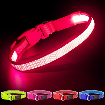 Light up Dog Collars, USB Rechargeable LED Dog Collar, Adjustable LED Cat Collar, Durable Flashing Collar for Cats, Puppy, Small, Medium, Large Dogs (Green, XS)