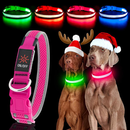 Light up Dog Collars, USB Rechargeable LED Dog Collar, Adjustable LED Cat Collar, Durable Flashing Collar for Cats, Puppy, Small, Medium, Large Dogs (Green, XS)