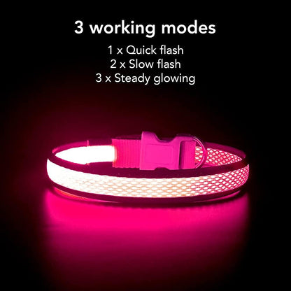 Light up Dog Collars, USB Rechargeable LED Dog Collar, Adjustable LED Cat Collar, Durable Flashing Collar for Cats, Puppy, Small, Medium, Large Dogs (Green, XS)