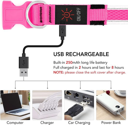 Light up Dog Collars, USB Rechargeable LED Dog Collar, Adjustable LED Cat Collar, Durable Flashing Collar for Cats, Puppy, Small, Medium, Large Dogs (Green, XS)