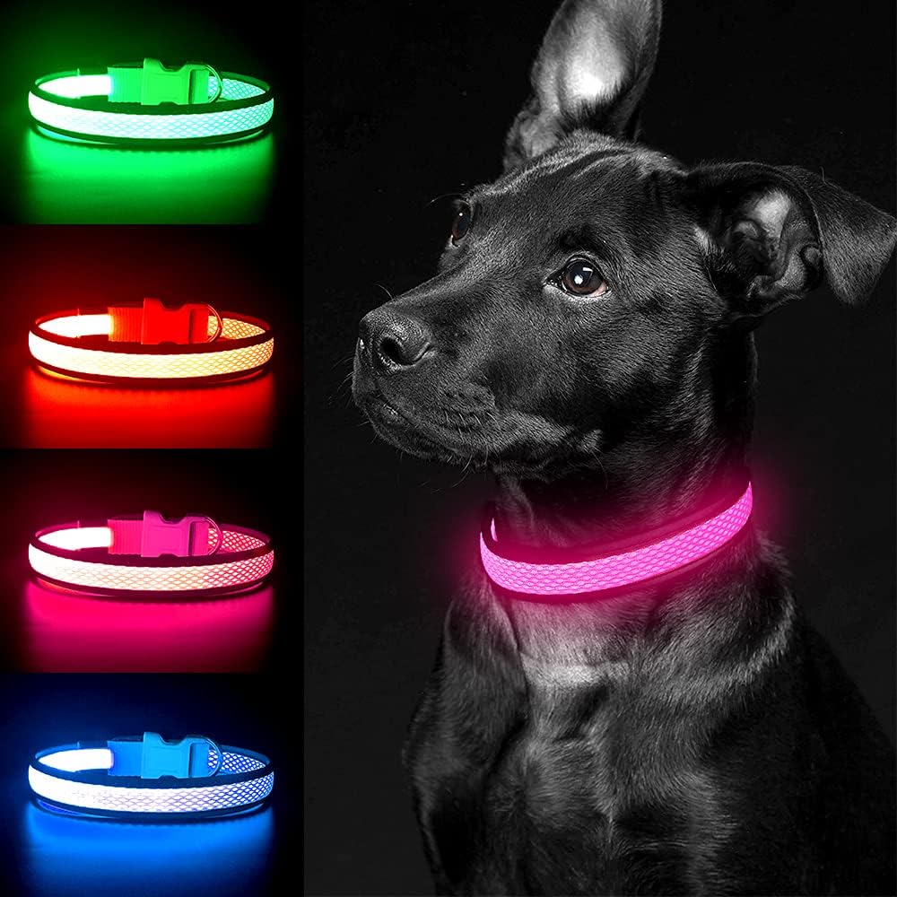 Light up Dog Collars, USB Rechargeable LED Dog Collar, Adjustable LED Cat Collar, Durable Flashing Collar for Cats, Puppy, Small, Medium, Large Dogs (Green, XS)