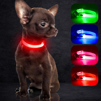 Light up Dog Collars, USB Rechargeable LED Dog Collar, Adjustable LED Cat Collar, Durable Flashing Collar for Cats, Puppy, Small, Medium, Large Dogs (Green, XS)
