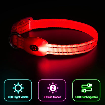 Light up Dog Collars, USB Rechargeable LED Dog Collar, Adjustable LED Cat Collar, Durable Flashing Collar for Cats, Puppy, Small, Medium, Large Dogs (Green, XS)