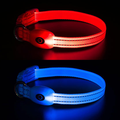 Light up Dog Collars, USB Rechargeable LED Dog Collar, Adjustable LED Cat Collar, Durable Flashing Collar for Cats, Puppy, Small, Medium, Large Dogs (Green, XS)
