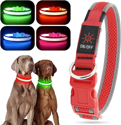 Light up Dog Collars, USB Rechargeable LED Dog Collar, Adjustable LED Cat Collar, Durable Flashing Collar for Cats, Puppy, Small, Medium, Large Dogs (Green, XS)