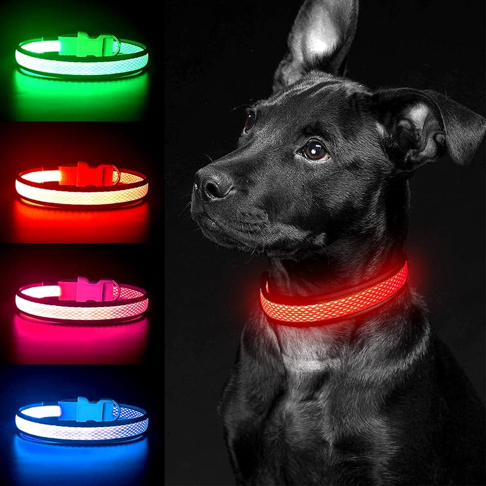 Light up Dog Collars, USB Rechargeable LED Dog Collar, Adjustable LED Cat Collar, Durable Flashing Collar for Cats, Puppy, Small, Medium, Large Dogs (Green, XS)