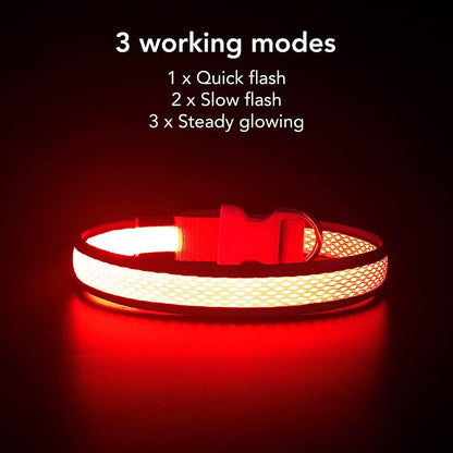 Light up Dog Collars, USB Rechargeable LED Dog Collar, Adjustable LED Cat Collar, Durable Flashing Collar for Cats, Puppy, Small, Medium, Large Dogs (Green, XS)