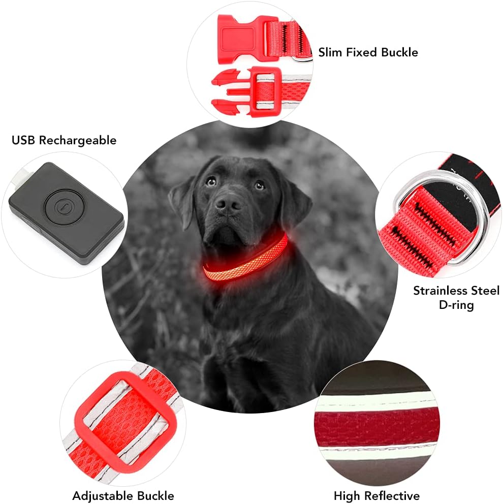 Light up Dog Collars, USB Rechargeable LED Dog Collar, Adjustable LED Cat Collar, Durable Flashing Collar for Cats, Puppy, Small, Medium, Large Dogs (Green, XS)
