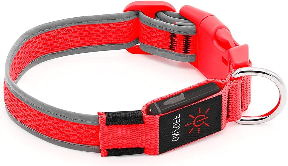 Light up Dog Collars, USB Rechargeable LED Dog Collar, Adjustable LED Cat Collar, Durable Flashing Collar for Cats, Puppy, Small, Medium, Large Dogs (Green, XS)