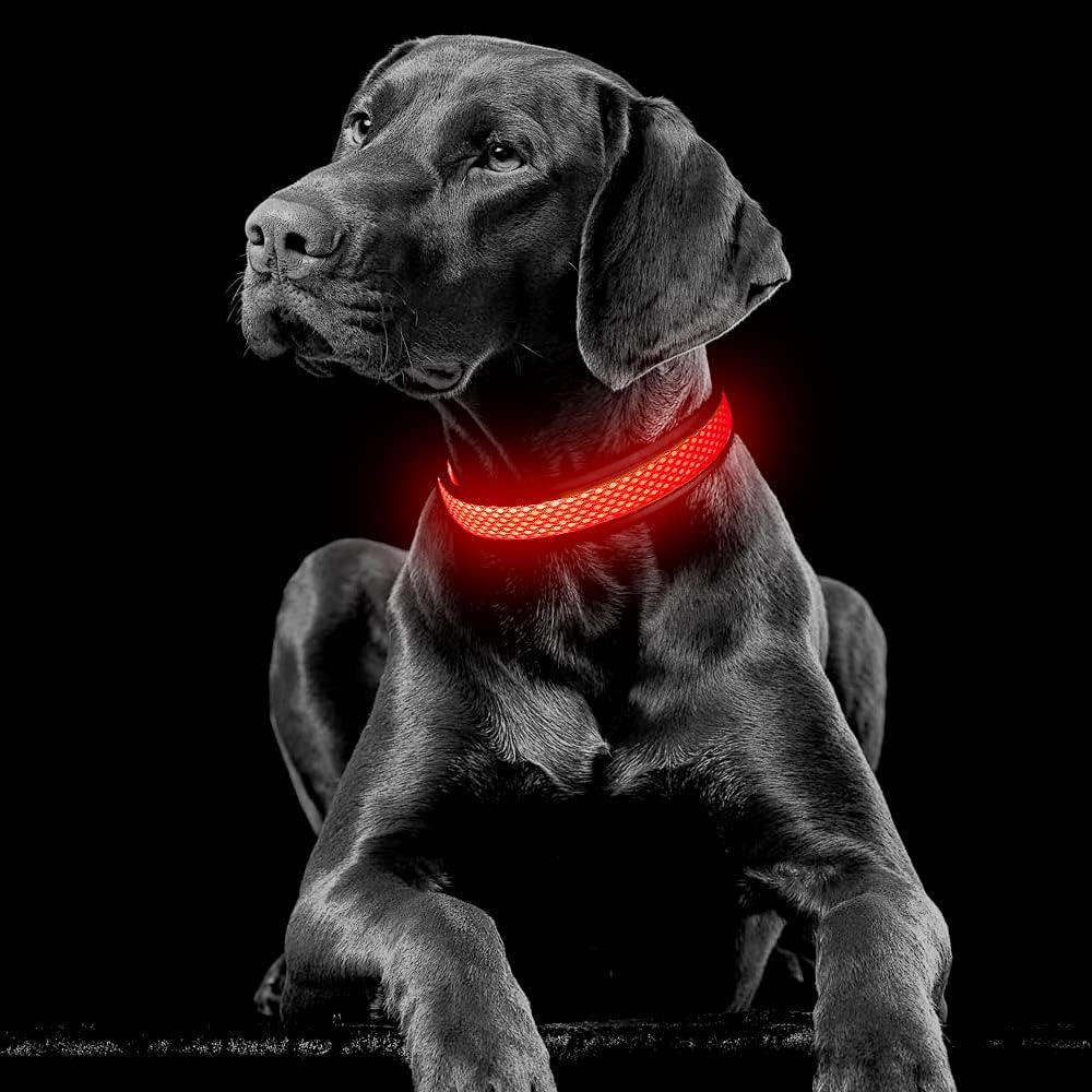 Light up Dog Collars, USB Rechargeable LED Dog Collar, Adjustable LED Cat Collar, Durable Flashing Collar for Cats, Puppy, Small, Medium, Large Dogs (Green, XS)