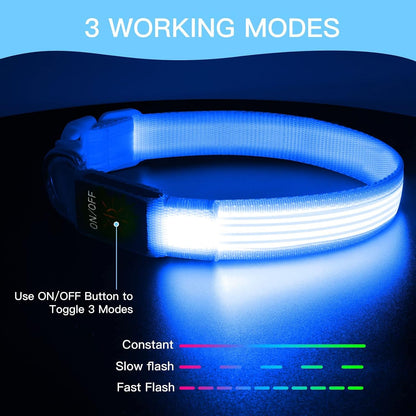 Light up Dog Collars, USB Rechargeable LED Dog Collar, Adjustable LED Cat Collar, Durable Flashing Collar for Cats, Puppy, Small, Medium, Large Dogs (Green, XS)