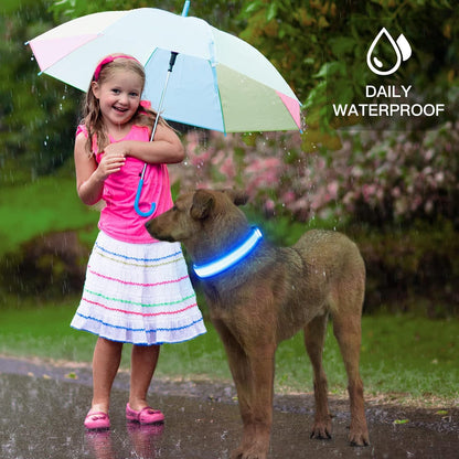 Light up Dog Collars, USB Rechargeable LED Dog Collar, Adjustable LED Cat Collar, Durable Flashing Collar for Cats, Puppy, Small, Medium, Large Dogs (Green, XS)