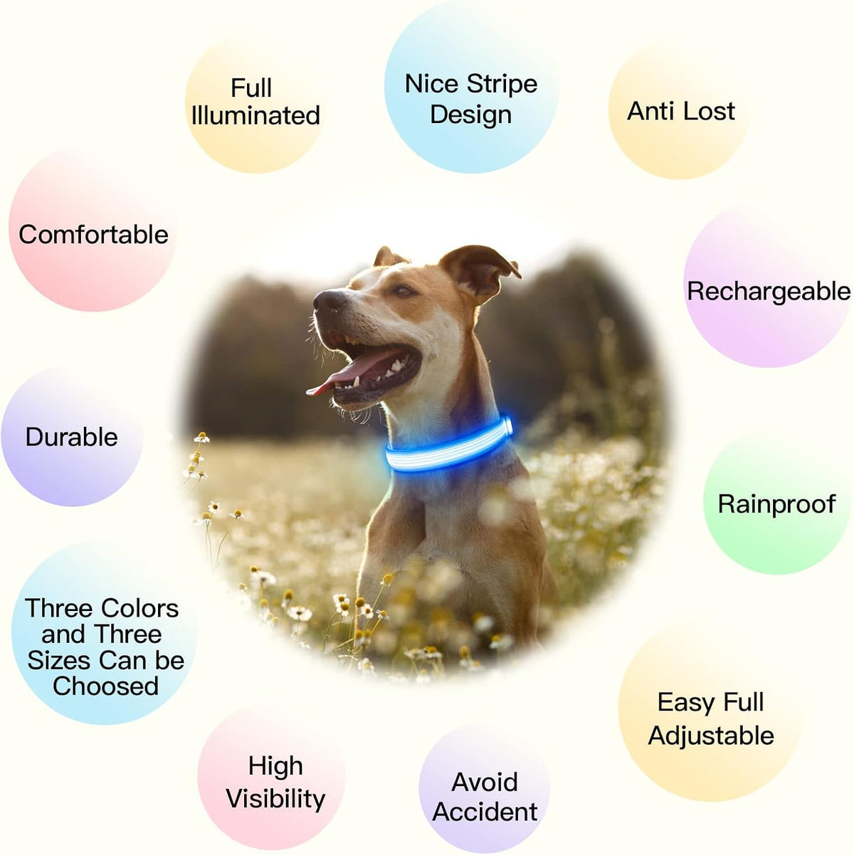 Light up Dog Collars, USB Rechargeable LED Dog Collar, Adjustable LED Cat Collar, Durable Flashing Collar for Cats, Puppy, Small, Medium, Large Dogs (Green, XS)