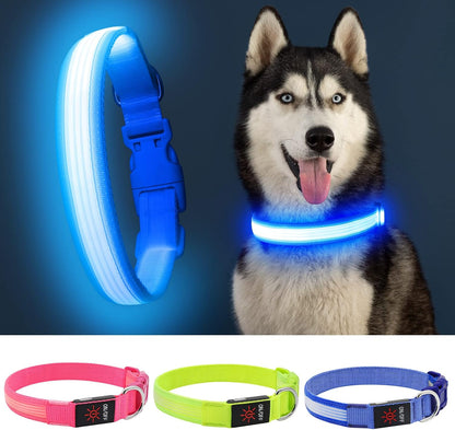 Light up Dog Collars, USB Rechargeable LED Dog Collar, Adjustable LED Cat Collar, Durable Flashing Collar for Cats, Puppy, Small, Medium, Large Dogs (Green, XS)