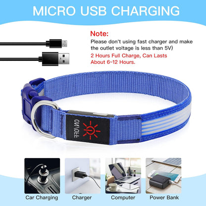 Light up Dog Collars, USB Rechargeable LED Dog Collar, Adjustable LED Cat Collar, Durable Flashing Collar for Cats, Puppy, Small, Medium, Large Dogs (Green, XS)