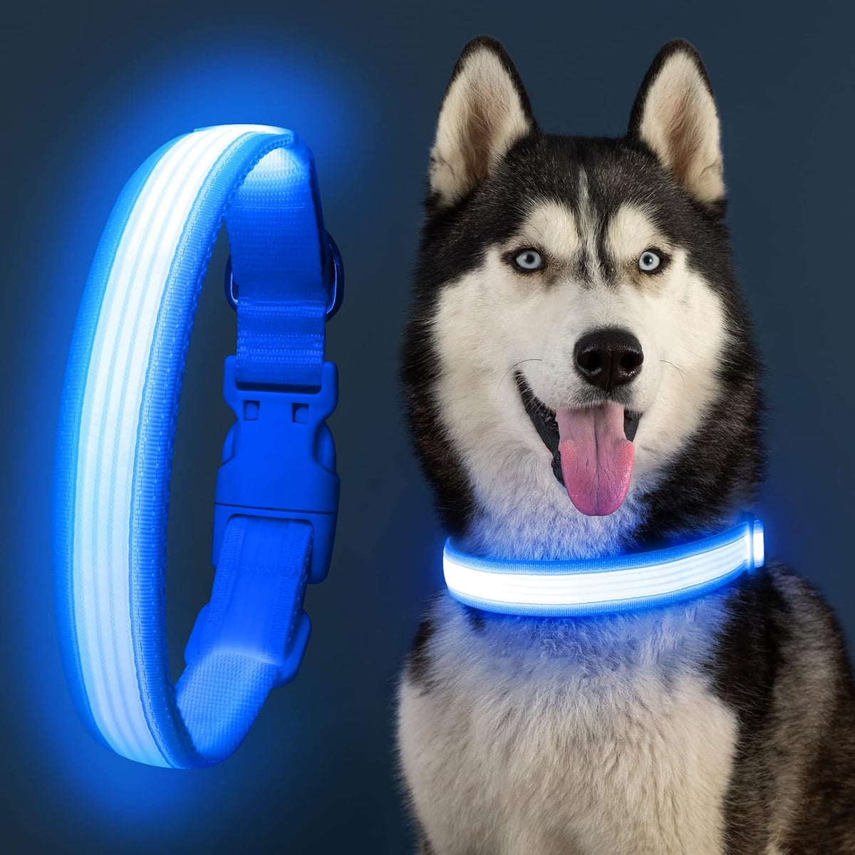 Light up Dog Collars, USB Rechargeable LED Dog Collar, Adjustable LED Cat Collar, Durable Flashing Collar for Cats, Puppy, Small, Medium, Large Dogs (Green, XS)