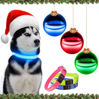 Light up Dog Collars, USB Rechargeable LED Dog Collar, Adjustable LED Cat Collar, Durable Flashing Collar for Cats, Puppy, Small, Medium, Large Dogs (Green, XS)