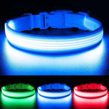 Light up Dog Collars, USB Rechargeable LED Dog Collar, Adjustable LED Cat Collar, Durable Flashing Collar for Cats, Puppy, Small, Medium, Large Dogs (Green, XS)