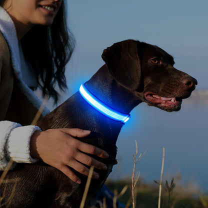 Light up Dog Collars, USB Rechargeable LED Dog Collar, Adjustable LED Cat Collar, Durable Flashing Collar for Cats, Puppy, Small, Medium, Large Dogs (Green, XS)