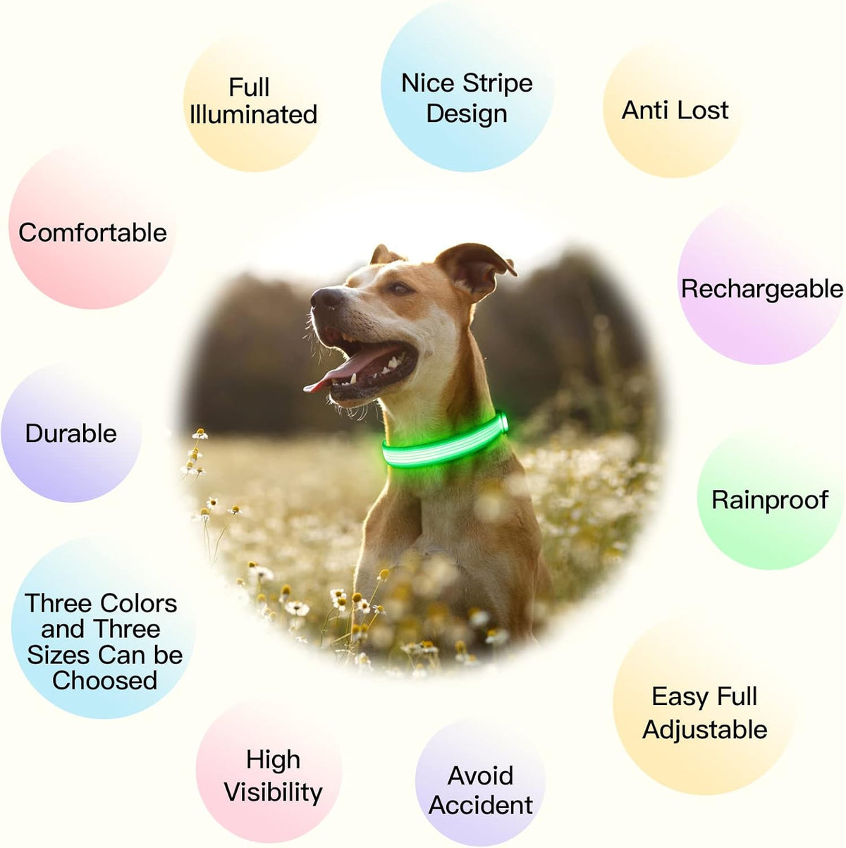 Light up Dog Collars, USB Rechargeable LED Dog Collar, Adjustable LED Cat Collar, Durable Flashing Collar for Cats, Puppy, Small, Medium, Large Dogs (Green, XS)