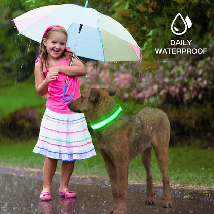 Light up Dog Collars, USB Rechargeable LED Dog Collar, Adjustable LED Cat Collar, Durable Flashing Collar for Cats, Puppy, Small, Medium, Large Dogs (Green, XS)