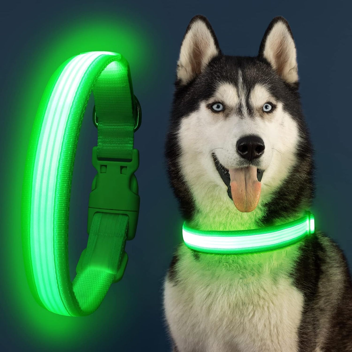 Light up Dog Collars, USB Rechargeable LED Dog Collar, Adjustable LED Cat Collar, Durable Flashing Collar for Cats, Puppy, Small, Medium, Large Dogs (Green, XS)