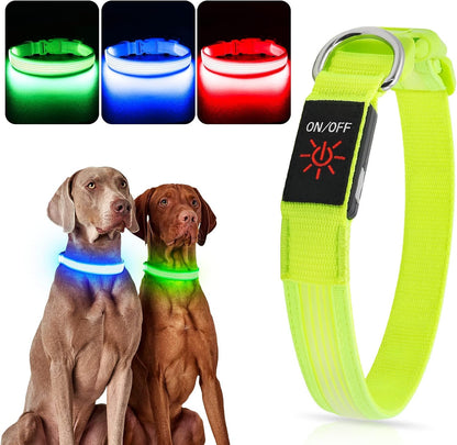 Light up Dog Collars, USB Rechargeable LED Dog Collar, Adjustable LED Cat Collar, Durable Flashing Collar for Cats, Puppy, Small, Medium, Large Dogs (Green, XS)