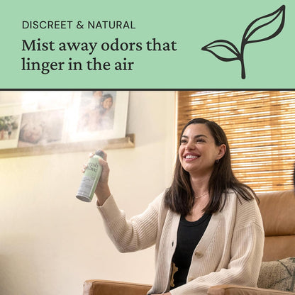 Original Room and Fabric Air Freshener Spray, 2-Pk, 8 oz