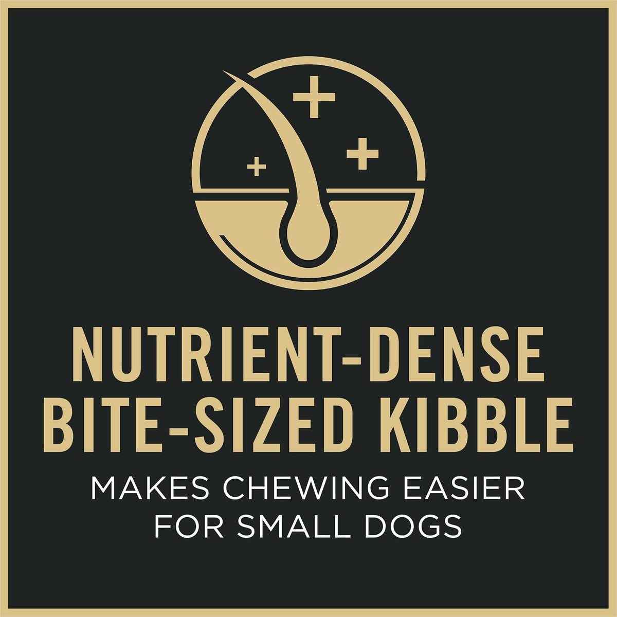 Small Breed Senior Dog Food, Shredded Blend, 6 lb Bag