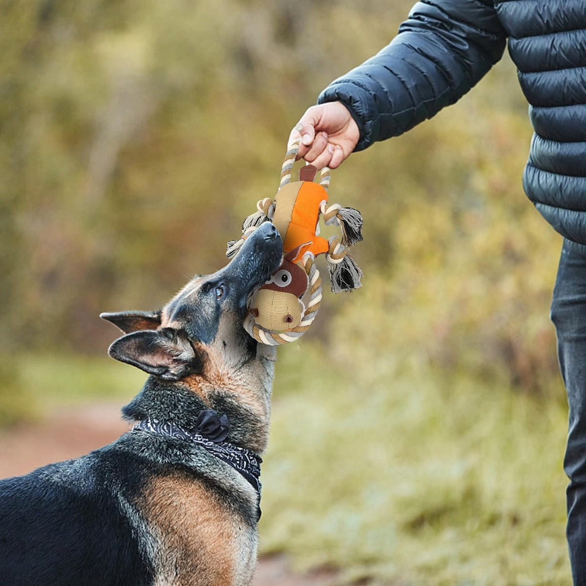Dog Toys for Aggressive Chewers,Tough Indestructible Dog Toys,Squeaky Toys for Large Dogs,Durable Dog Chew Toys (Auburn)